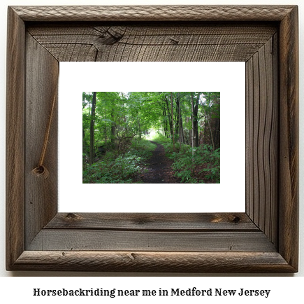 horseback riding near me in Medford, New Jersey